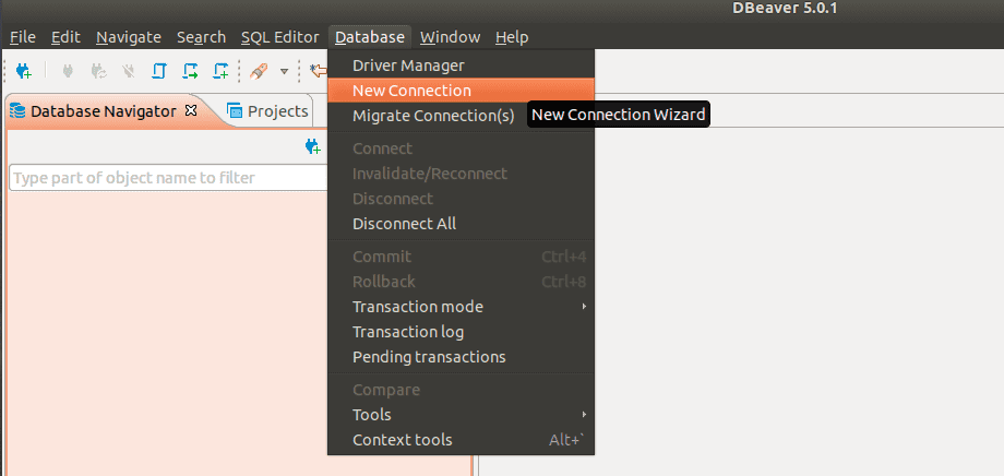 DBeaver: Como acessar um banco SQL Server - kingHost