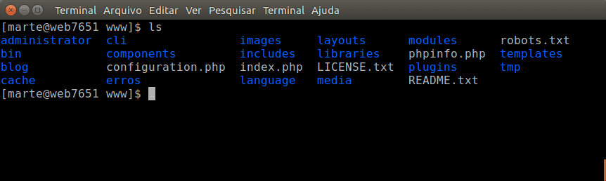 Aqui é mostrado o comando ls. Como resultado temos a listagem de arquivos e diretórios.
