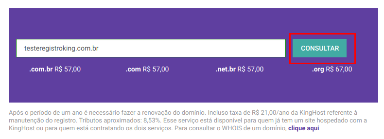 Página de registro de novo domínio com valores dos registros.