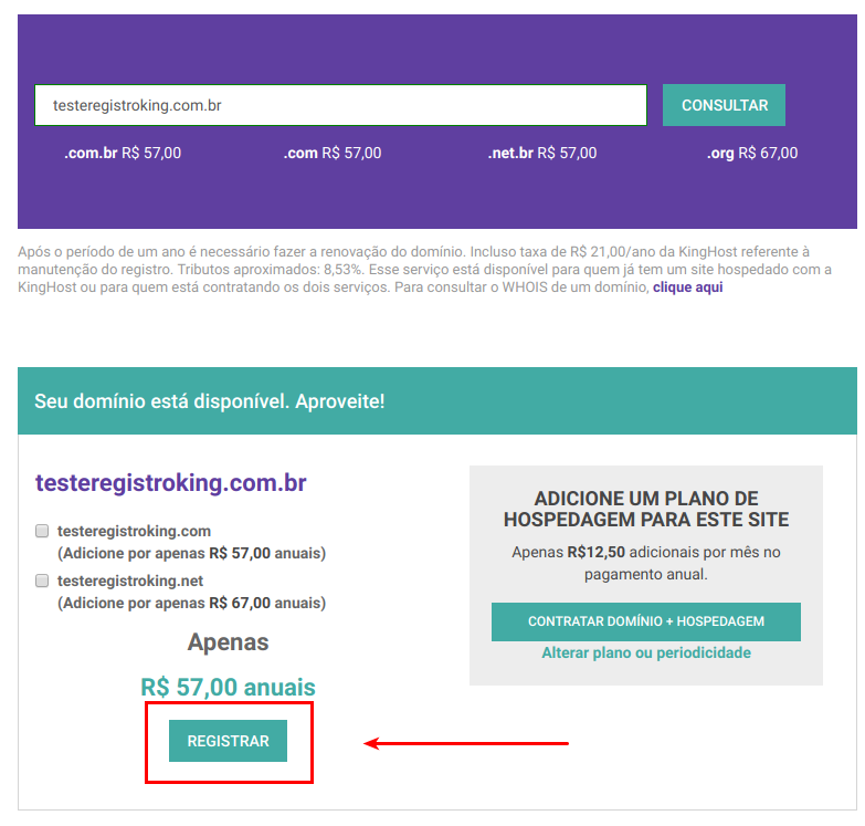 Página de registro de novo domínio com valores dos registros e confirmando o registro de um domínio.
