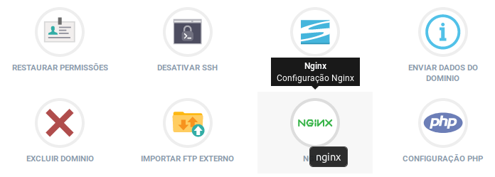 Configurando o template do WordPress no Nginx. Acessando a ferramenta Nginx no painel de controle.