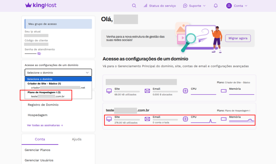 Página inicial destacando os domínios disponíveis e a área com a descrição das informações de uso de um site, como espaço, email, CPU e memória.